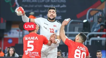 صدام عربي مرتقب.. موعد مباراة تونس والجزائر في نصف نهائي بطولة إفريقيا لكرة اليد